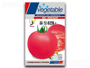 �ػ�628F1-���ѷN��-�ػ�