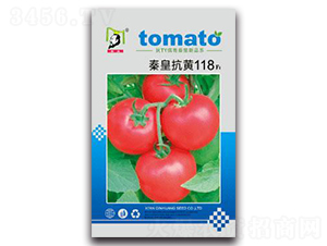 �ػʿ��S118F1-���ѷN��-�ػ�