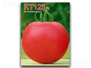 KT125F1-���ѷN��-�ػ�
