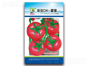 �ػ�DK-�Č�F1-���ѷN��-�ػ�