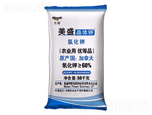 ���w�-��ʢ-����R��