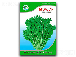 金絲芥-芥菜種子-嵊科種業(yè)