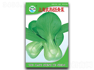 �Ϻ�����605���-��˷N��-�ӿƷN�I(y��)