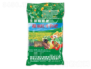 ����������-���Z����