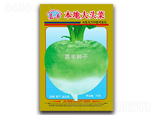 ���ش��^��-�}���N��-���S�N��