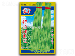 特長(zhǎng)80豇豆-豇豆種子-嘉豐種子