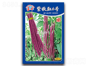 ������6̖(h��o)-�����N��-���S�N��