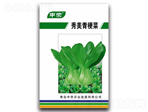 �����๣��-�๣�˷N��-��s�r(n��ng)�I(y��)