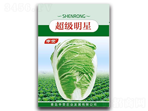 ��������-�ײ˷N��-��s�r(n��ng)�I(y��)