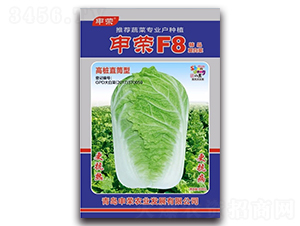 ��sF8-�ײ˷N��-��s�r(n��ng)�I(y��)