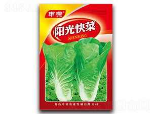 �(y��ng)����-��˷N��-��s�r(n��ng)�I(y��)