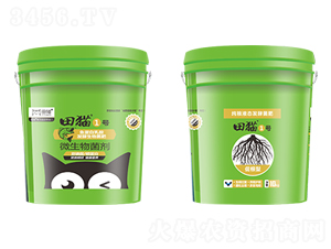 �ٸ��ͼ��ZҺ�B(t��i)�l(f��)�;���-��؈1̖(h��o)