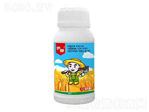 2�ס��ȡ��p��-�S�z-(li��n)���r(n��ng)�I(y��)