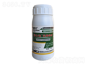 �������-�Zʿ�_(d��)