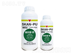 ʩ����-�}-δ�����W(xu��)