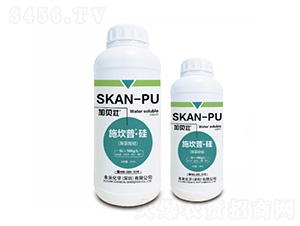 ʩ����-��-δ�����W(xu��)