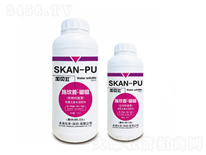 ʩ����-���f-δ�����W