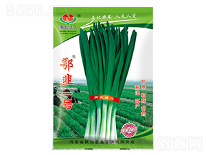 ����һ̖-�²˷N��-�ϱ��G��