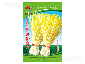 �������S�׽��F1-�²˷N��-�ϱ��G��