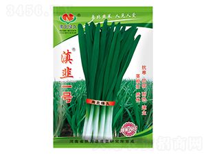 ���һ̖(h��o)-�²˷N��-�ϱ��G��