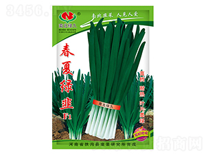 ���ľG��-�²˷N��-�ϱ��G��