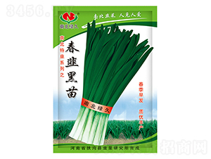 ���º���-�²˷N��-�ϱ��G��