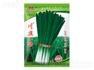 ����һ̖-�²˷N��-�ϱ��G��