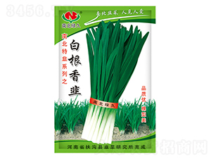 �׸����-�²˷N��-�ϱ��G��