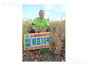 ����10̖(h��o)-��Ų�