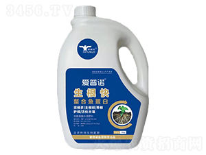 �����������~����-�����Z