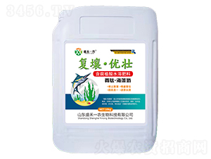 ���ġ����嵪-��������(y��u)��-ʢ��һ�r(n��ng)