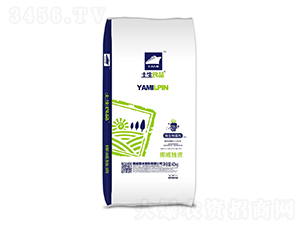 �߻��������{�턩-������Ʒ-��������