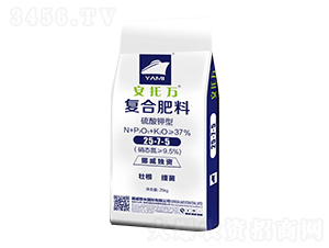 ������͏�(f��)�Ϸ���25-7-5-�����f-��������