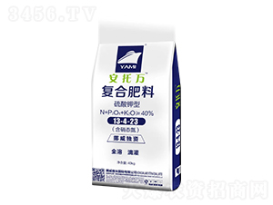 ������͏ͺϷ���13-4-23-�����f-��������