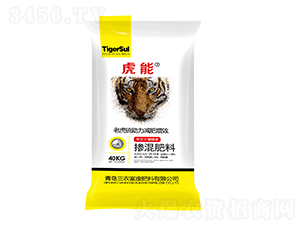 �������15-15-8-����-���r(n��ng)����