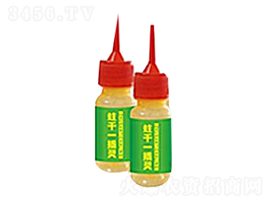 ����һ���`-�ݠ��S����