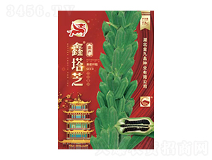 ����֥-��Ų�