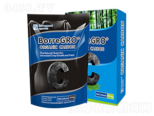 ʩ��-�r(n��ng)��ʩ