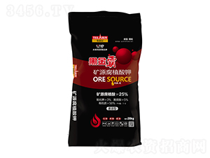 �VԴ��ֲ���-�ڽ��-���R��