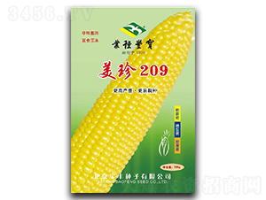美珍209-玉米種子-寶豐