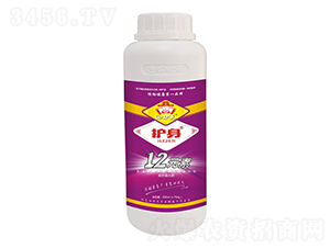 12元素-護身-田狀元