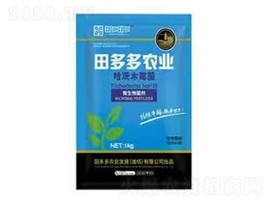 ����ľù��-�����r(n��ng)�I(y��)