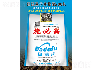 ������⛷ʣ���������������17-17-17-��˹��