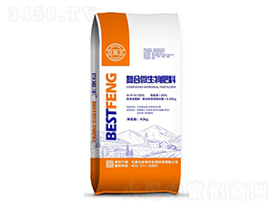 �ͺ�΢�������-ʷ���S