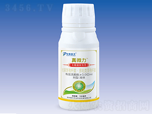 ���˻�ù����΢�������-��΢��-�����r(n��ng)�I(y��)