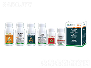 ���C2̖-¡������