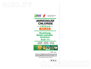 ���w���Ȼ��@-�������