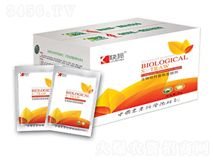 ����ն��l(f��)�͸��섩-�������