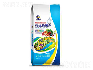 ΢�������-����ؐ-�R�S����