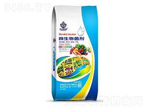 ΢�������-�R�S����